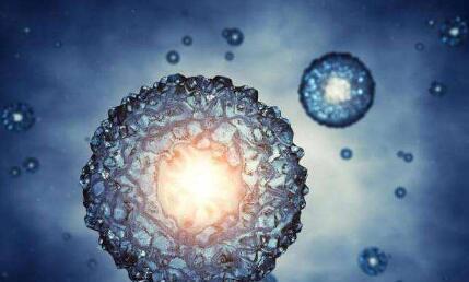 科学家：整个宇宙或只是某个生物身上的一个细胞684 / 作者:6363 / 帖子ID:55071