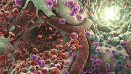 科学家：整个宇宙或只是某个生物身上的一个细胞667 / 作者:6363 / 帖子ID:55071