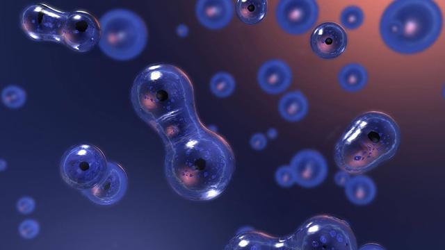 45亿年前的陨石中含有核糖，科学家：我们或许是“外星人”976 / 作者:陆子525630 / 帖子ID:55121