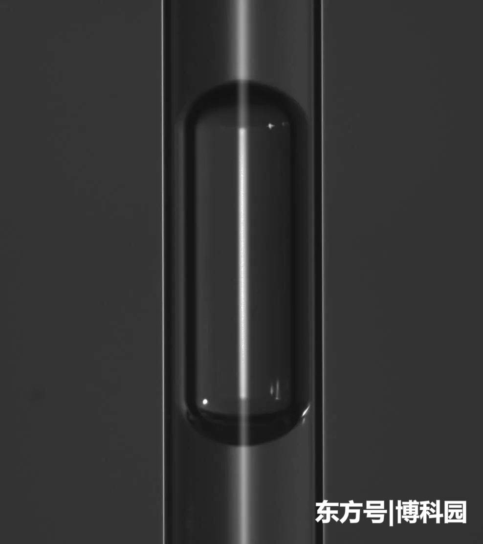 他还是一个学生啊，却解开了一个困扰科学家100年的谜团！243 / 作者:gongjingwe / 帖子ID:55175