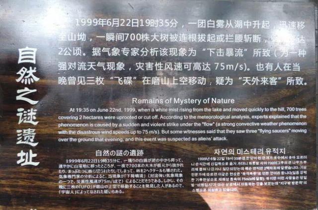 1999年湖北磨山诡异事件，一道“白光”瞬间砍倒700棵树239 / 作者:lgy_103 / 帖子ID:55180