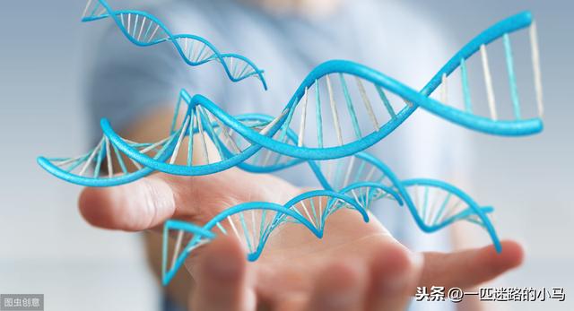 在整个宇宙中，生命的诞生并不容易，碳基生命是否是唯一？485 / 作者:123457049 / 帖子ID:55191