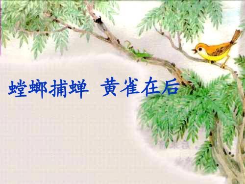 宇宙中物体趋向于圆轨运动和球状存在，跟精神思想感情世界有关418 / 作者:guaigege / 帖子ID:55280