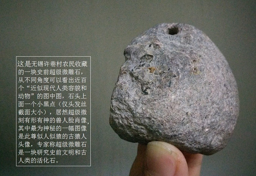 无锡发现世界上最早的人类祖先头像381 / 作者:史前文明微雕石 / 帖子ID:55300