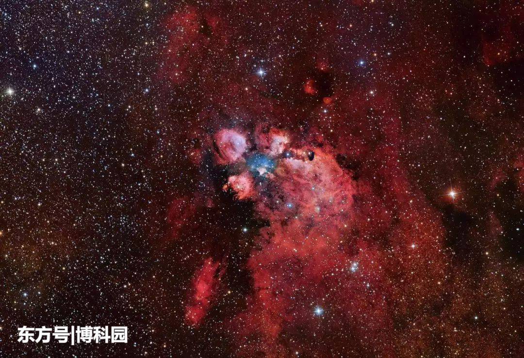 太好了，在5500光年外的猫掌星云中，发现恒星起源的新线索！320 / 作者:我是的十八簿 / 帖子ID:55301