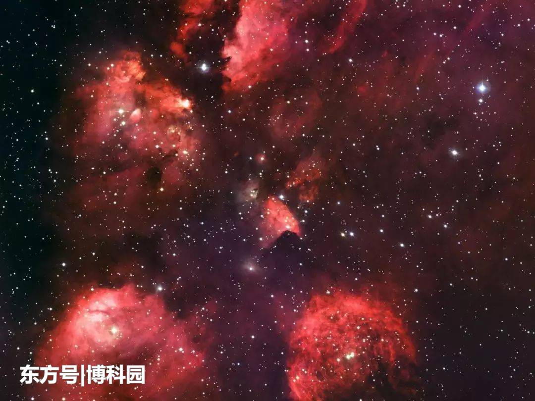 太好了，在5500光年外的猫掌星云中，发现恒星起源的新线索！882 / 作者:我是的十八簿 / 帖子ID:55301