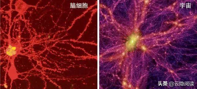 宇宙早已进化出意识，奈何人类身处维度过低，听不懂它的语言495 / 作者:小仙女要起飞 / 帖子ID:55332