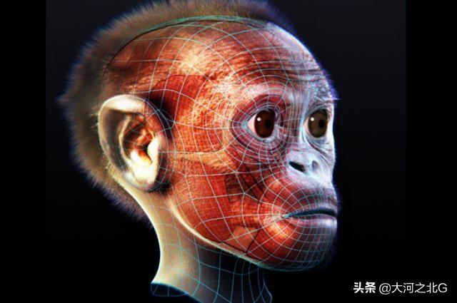 关于人类起源，你迫切需要更新一下过去的知识版本997 / 作者:gooobooo / 帖子ID:55399