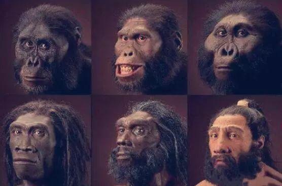 人类在过去的600万年里，丢失了一对染色体，是外星人的杰作吗？362 / 作者:123457025 / 帖子ID:55418