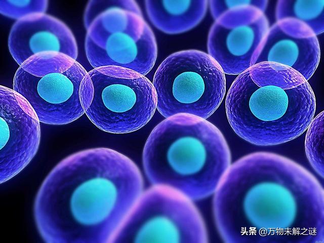 细胞的结构与宇宙很相似，那么宇宙会不会是个小细胞？516 / 作者:13633808 / 帖子ID:55420