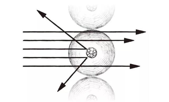 我们为何存在于宇宙，可能与TA有关828 / 作者:yinfeifei / 帖子ID:55529