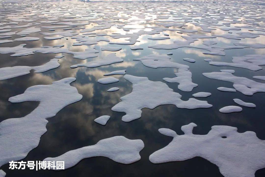 北极海冰可能比预期更快的在夏季消失，意味着全球变暖将会更快！693 / 作者:shichg123 / 帖子ID:55656