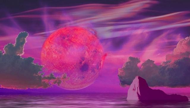 地球是生命的奇迹星球？外星人可能比地球人所能想象到的更奇怪113 / 作者:普通人物怨 / 帖子ID:55681