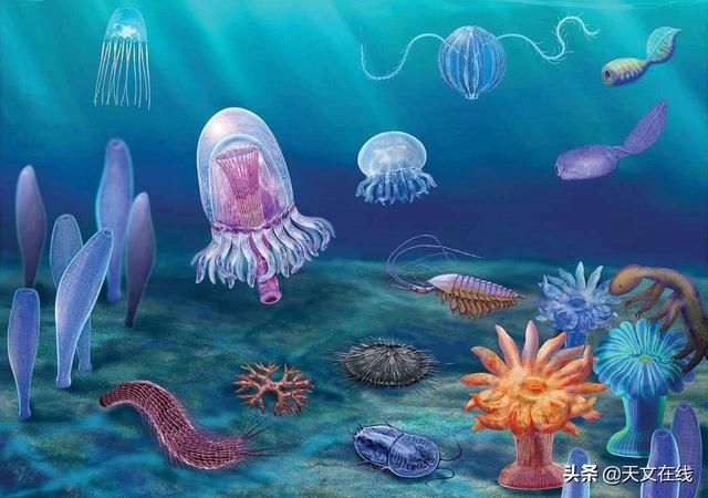 外星人其实就是以前的人类？954 / 作者:akmpswv / 帖子ID:55711