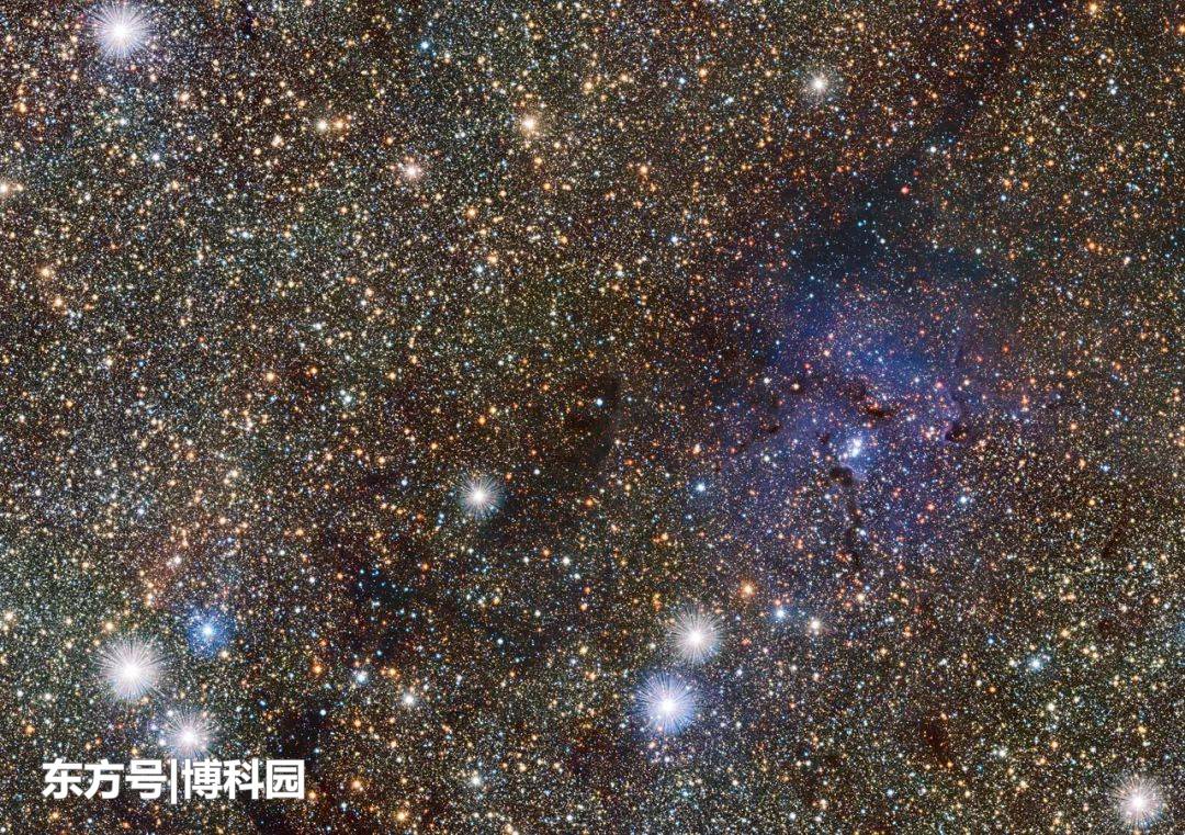 在银河系中心，发现一根甘蔗，长达190光年，够吃好几辈子咯！566 / 作者:hrwjngrxap / 帖子ID:55722