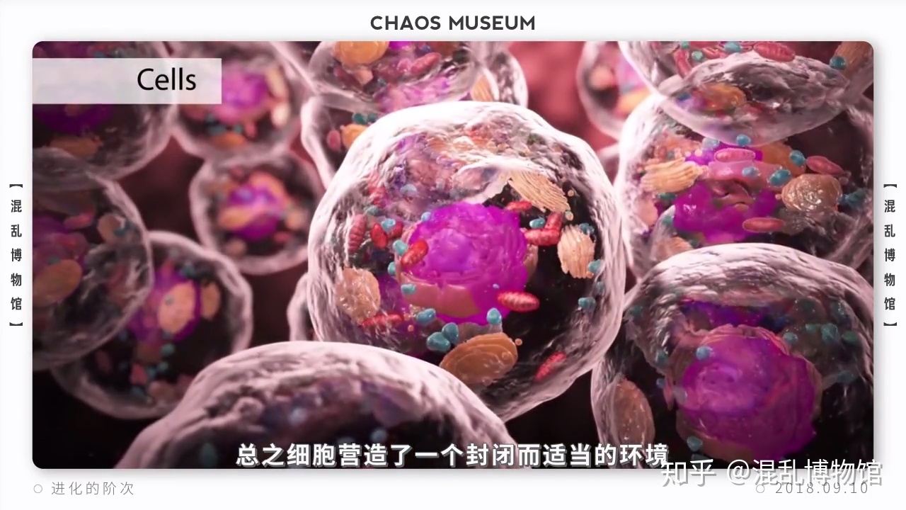 为什么近千年来人类都没有发生显著的进化？327 / 作者:给我闪 / 帖子ID:55727