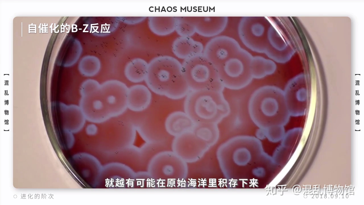 为什么近千年来人类都没有发生显著的进化？795 / 作者:给我闪 / 帖子ID:55727