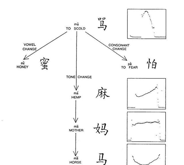 人类起源、语言的形成及其演化问题46 / 作者:falaso / 帖子ID:55733