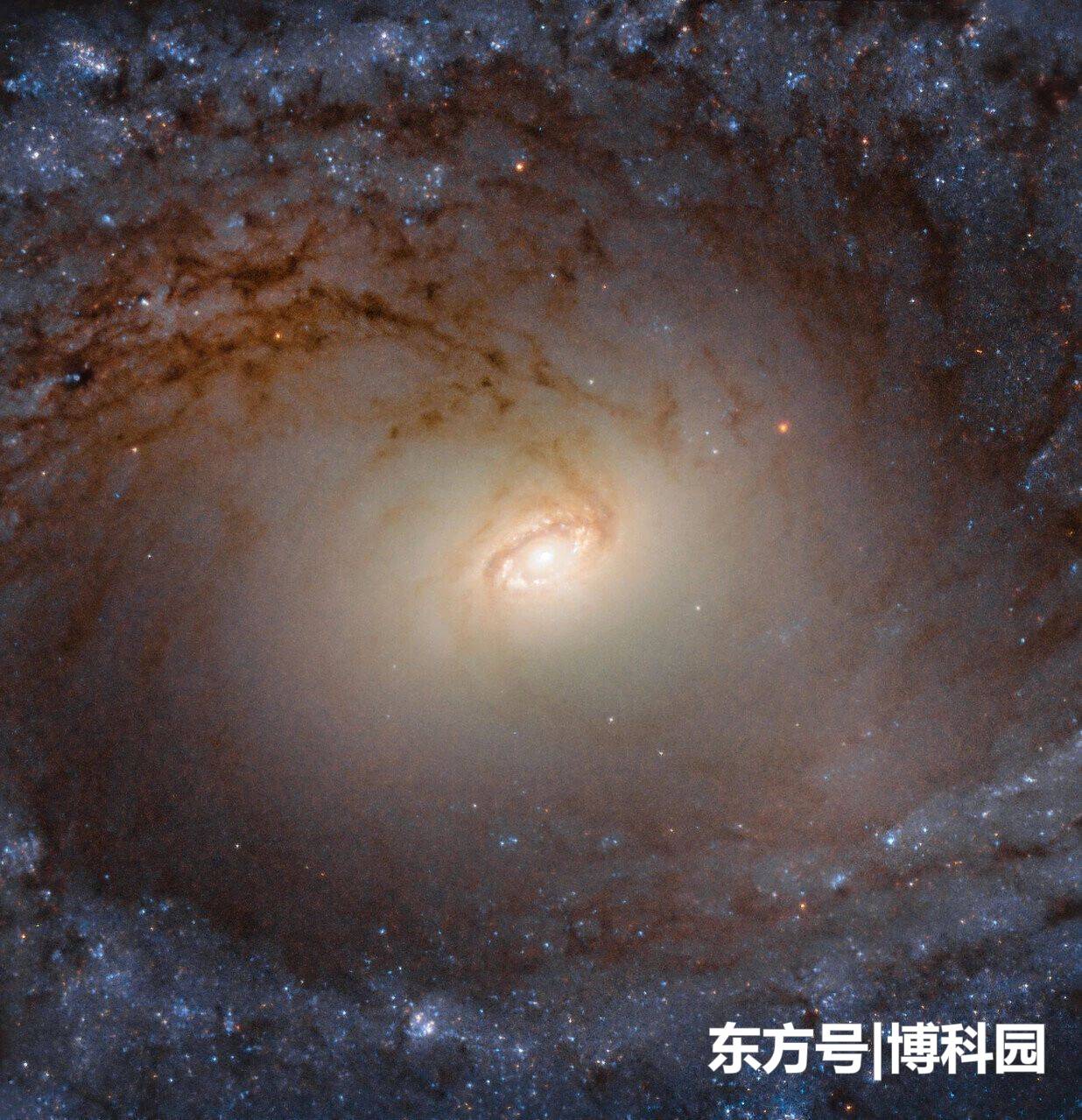 哈勃太空望远镜又出佳作：8500万光年外的螺旋星系照，很美啊340 / 作者:bTHzJAvw / 帖子ID:55748