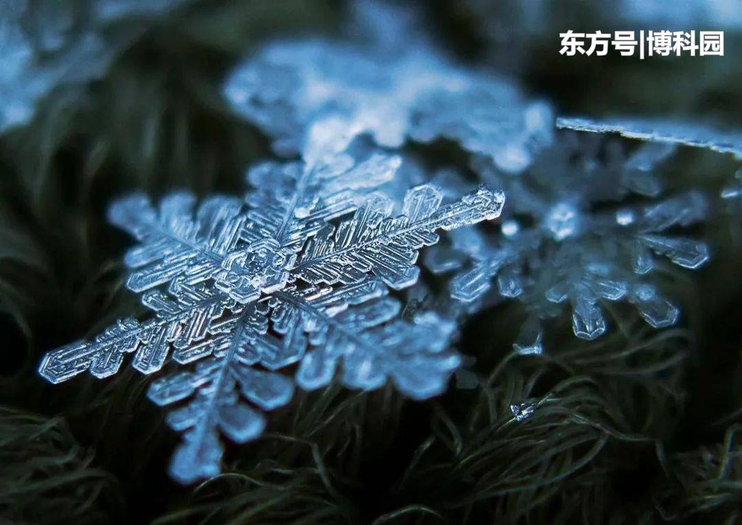 流体动力有多重要？无序的分子，转变为固体结晶，就是个例子！816 / 作者:李志敏 / 帖子ID:55759