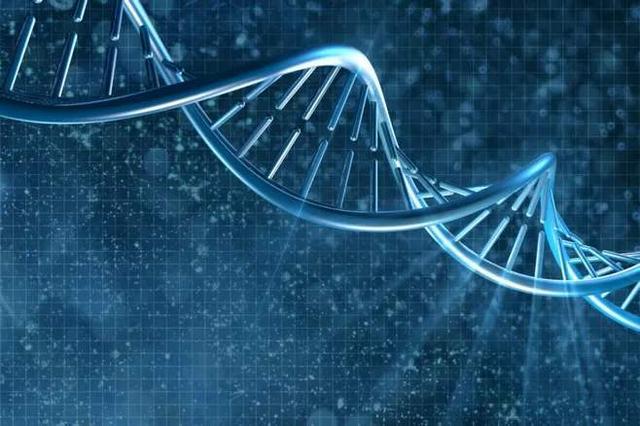 “非设计”生命，如此复杂的生物怎么会起源于惰性物质呢？809 / 作者:ttyn727 / 帖子ID:55827