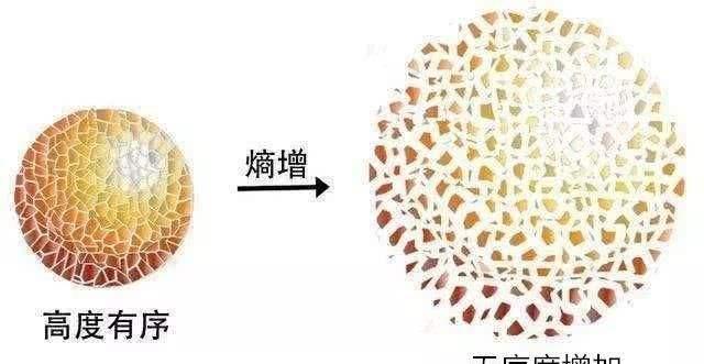 宇宙会以何种形式终结？在“永恒”中热寂？or在220亿年后撕裂？403 / 作者:向往草原403 / 帖子ID:55854