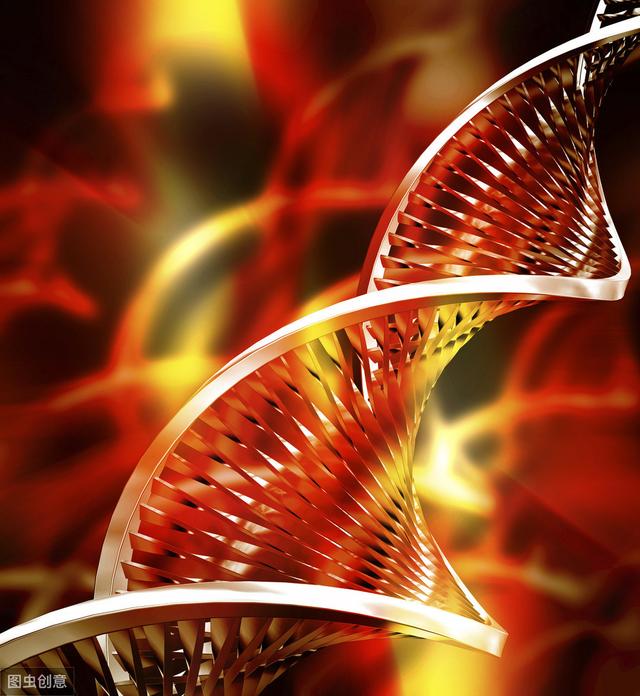 推动宇宙膨胀的是暗能量，那推动生物进化的是什么力量817 / 作者:哪吒2017 / 帖子ID:55855