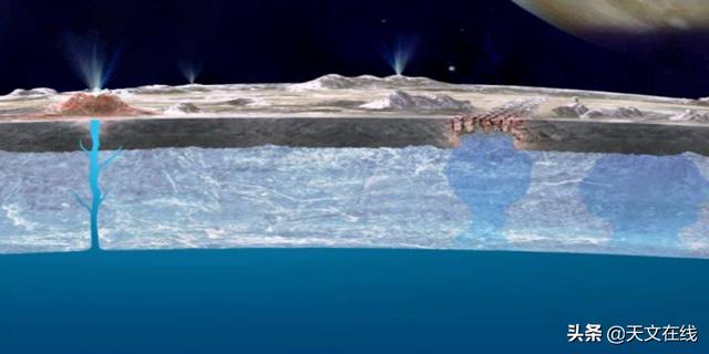 外星人究竟什么样？2025年NASA即将解开谜底409 / 作者:哈哈SE7 / 帖子ID:55926