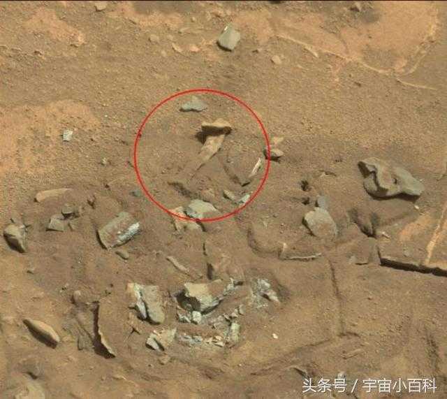 大盘点：火星上发现的那些奇怪物品295 / 作者:UFO来啦 / 帖子ID:63359