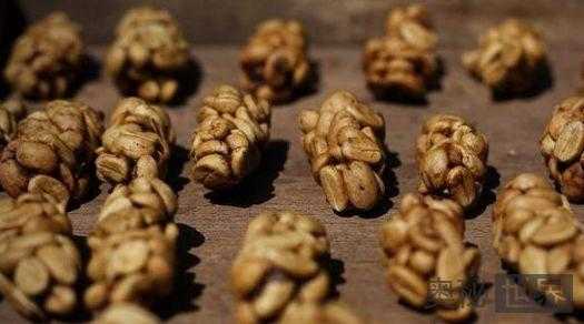 麝香猫咖啡:世界上最贵的粪便食品690 / 作者:UFO来啦 / 帖子ID:66244 麝香猫咖啡:世界上最贵的粪便食品690 / 作者:UFO来啦 / 帖子ID:66244