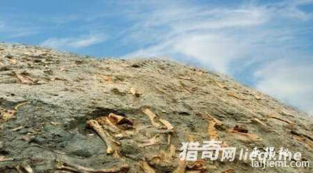 宇宙的真面目：比人类想象的更加孤单416 / 作者:UFO外星人爱好者 / 帖子ID:57698