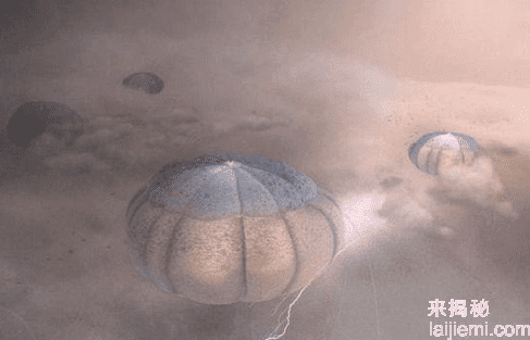 外星人免疫系统不适应地球 感冒病毒即可致命275 / 作者:UFO来啦 / 帖子ID:63313
