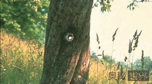 外星人在地球上使用激光枪的证据835 / 作者:UFO外星人爱好者 / 帖子ID:60617 外星人在地球上使用激光枪的证据835 / 作者:UFO外星人爱好者 / 帖子ID:60617