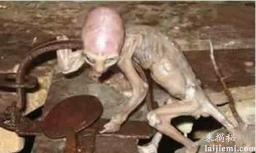 太空十大离奇事件 这些都成了未解之谜587 / 作者:UFO来啦 / 帖子ID:63418