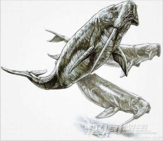 7大怪异动物祖先：凶残的恐龙切割机765 / 作者:UFO来啦 / 帖子ID:61247