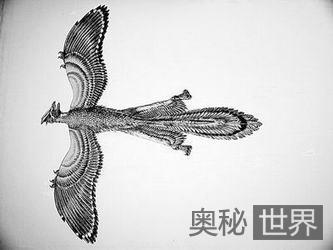 十大类鸟恐龙398 / 作者:UFO来啦 / 帖子ID:62418