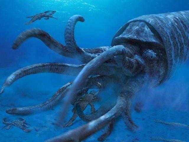 地球上10大远古超级生物, 最后一种发现于中国境内885 / 作者:UFO来啦 / 帖子ID:63064