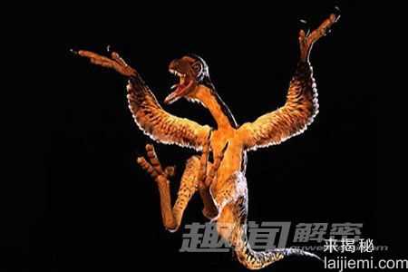 盘点古代地球十大有羽恐龙 中国鸟龙上榜867 / 作者:UFO来啦 / 帖子ID:65133
