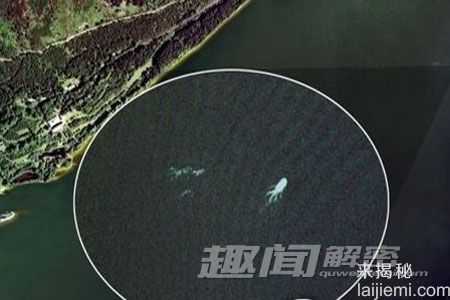曝光！全球真实拍摄到的水怪照片（图）763 / 作者:UFO来啦 / 帖子ID:64175