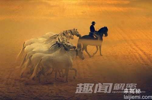 顶级抓拍!动物们的奇趣瞬间(组图)476 / 作者:UFO来啦 / 帖子ID:66152