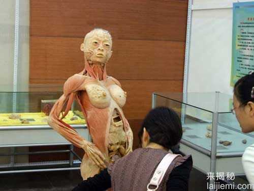 河南工地挖出干尸：保存完好 让人骇然822 / 作者:UFO来啦 / 帖子ID:64626