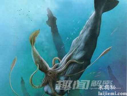厉害!科学家发现“挪威海怪”真身935 / 作者:UFO来啦 / 帖子ID:62682 厉害!科学家发现“挪威海怪”真身935 / 作者:UFO来啦 / 帖子ID:62682