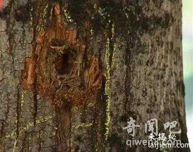 盘点10个历史上古怪而巧合的神秘事件589 / 作者:UFO来啦 / 帖子ID:65016