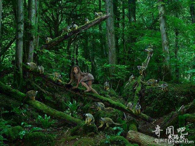 真人版女泰山：四岁的她被遗弃在森林 是猴子养活了她573 / 作者:UFO来啦 / 帖子ID:65254