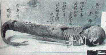 真正的美人鱼竟然长这样！美人鱼真容丑哭了795 / 作者:UFO来啦 / 帖子ID:65259