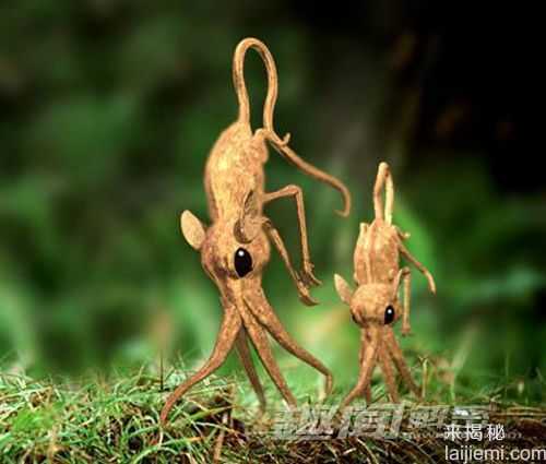 20世纪消失的奇兽：鼻行动物907 / 作者:UFO来啦 / 帖子ID:61274