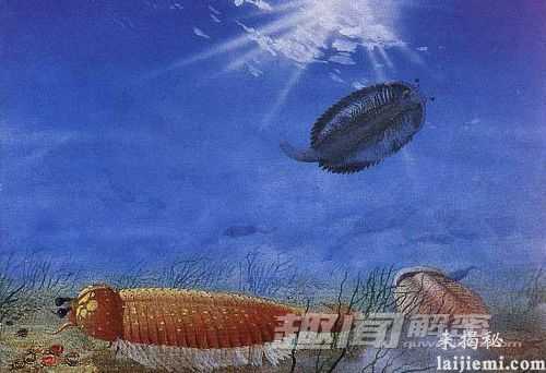 生物进化的十大奇迹 超个体现象620 / 作者:UFO来啦 / 帖子ID:64963