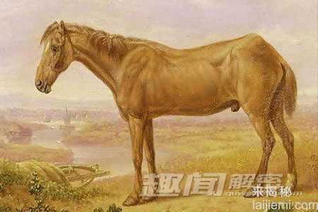 世界十大最长寿动物-120岁巨蟒现身香港346 / 作者:UFO来啦 / 帖子ID:61754