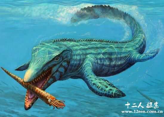 沧龙：中生代海洋的顶级掠食者，从崖蜥进化而来864 / 作者:UFO来啦 / 帖子ID:64622