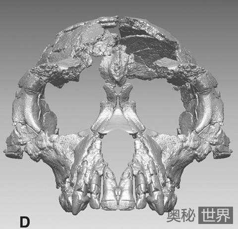 考古历史上十大古生物发现525 / 作者:UFO来啦 / 帖子ID:65549